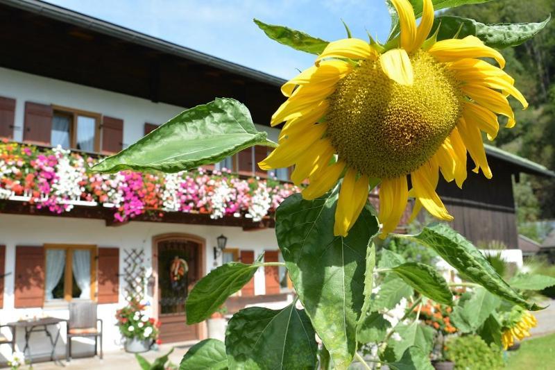 Haus Jagerer Hotel Ramsau bei Berchtesgaden Buitenkant foto